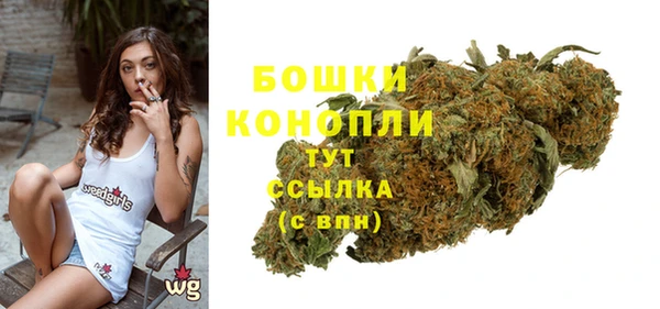 ПСИЛОЦИБИНОВЫЕ ГРИБЫ Балабаново