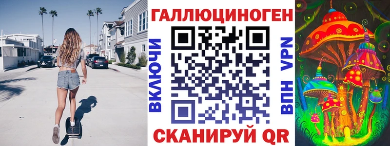 где продают   Губаха  Псилоцибиновые грибы Psilocybine cubensis 